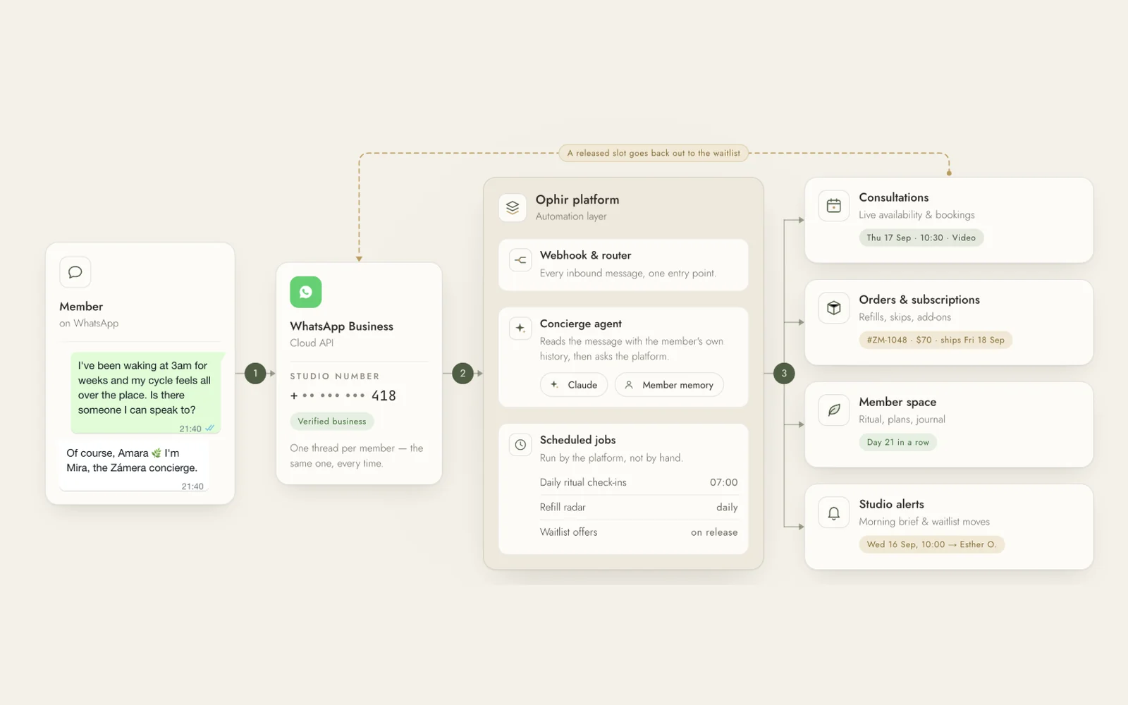 Zámera WhatsApp AI concierge architecture — a Claude agent on the Ophir platform with member memory and scheduled jobs, driving consultations, orders and waitlist.